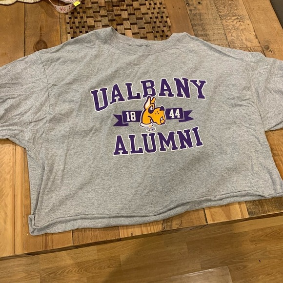 UNIV of ALBANY Alumni 1844 Mascot Cropped Tee-Shirt Grey Purple, XL - Picture 5 of 5